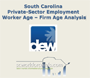 South Carolina Private-Sector Employment Worker Age - Firm Age Analysis